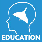 Education Share 2015