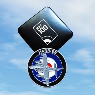 RAF100 series: Harrier and Phantom