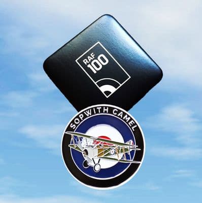 RAF100 series: Sopwith Camel and Avro 504