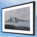 Framed Print - Take Off - from